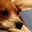 fernanda pinzon - @mafepila - Twitter