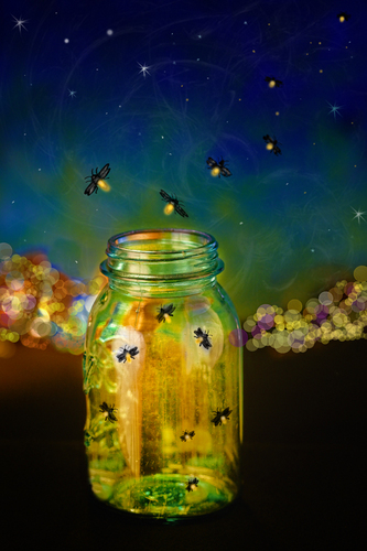 TheFireflyGC's profile picture. A pistol!  In search of adventure  . . . and a fine *Southern* gentleman to snuggle up with.