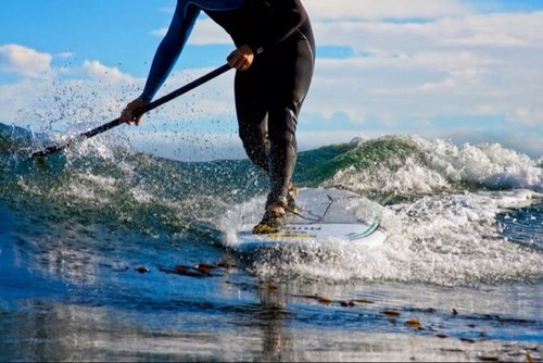 Stoked to revive my water side after 30 years horses Interests-  SUPs, Surfing, anything on the water. Eventing, Hounds, anything horses.