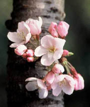 nava_xchitl's profile picture. 