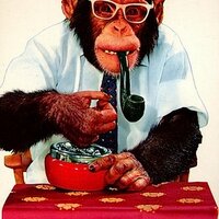Thinking Clearly (@thinkingklearly) 's Twitter Profile
