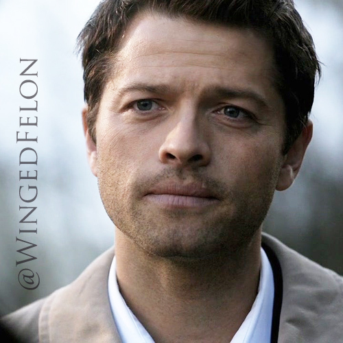 WingedFelon's profile picture. Why would I want to describe myself in in fewer than 160 characters? Describing myself is not of import.