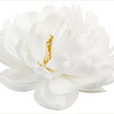 Keeley Reed - @KeeleyReed1 - Twitter