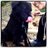 m_papadi's profile image