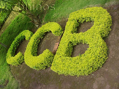 IgrejaCcb's profile picture. 