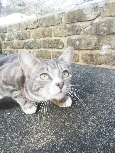 SkyBlueCard's profile picture. Fan of Coventry City and Woking