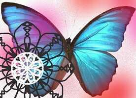 NO_ESCLAVITUD's profile picture. SPANISH PEOPLE QUIT BEING SLAVES I'M TRYING TO HELP !!!Quepasa deniro amigos amigas CALL KEVIN # 484-6796250 español ser ecologico $$ CASA