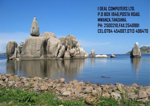 SalumMjema's profile picture. 