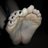 Spreadtoes's profile image