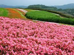 evetaifesdochi's profile picture. ナイキダイスキー（＞ω＜）ナイキ信者以外の方ももっと自分を広げたいのでフォロー待ってます～♪