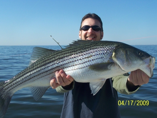 Chesapeake Bay Sport Fishing Charters - Private charters up to 49 people