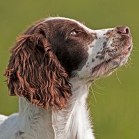Matt Limb Images (@mattlimbimages) 's Twitter Profile Photo Matt Limb Images (@mattlimbimages) 's Twitter Profile Photo