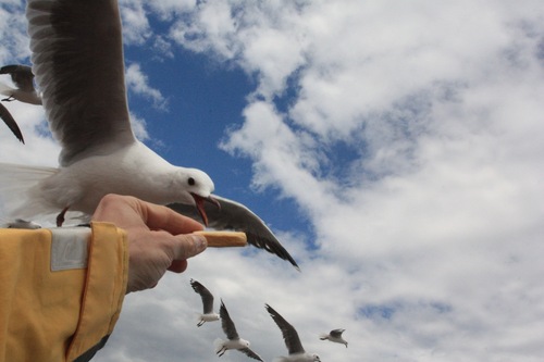 juricaborozan's profile picture. 