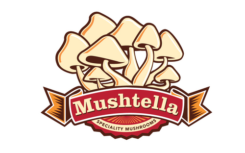 mushtella Profile Picture