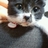 F4lovelove's profile image