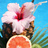 yehuda_eckstein's profile image