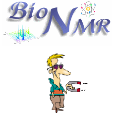 Bio NMR