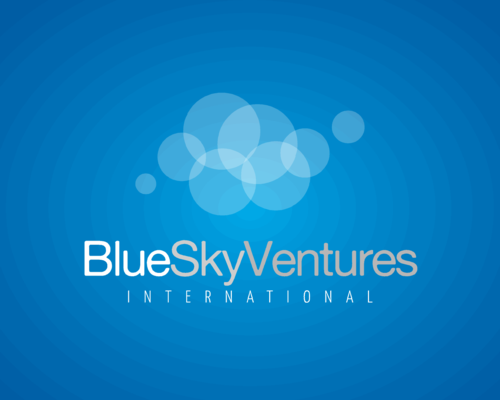 blueskyvi's profile picture.