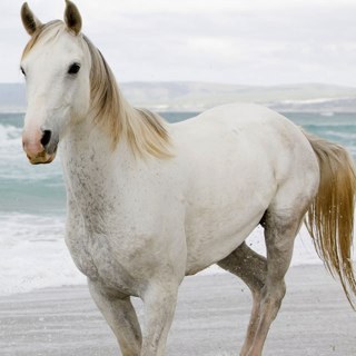 Fwee14's profile picture. 