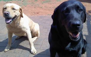 craigappaduray's profile picture. Blegh