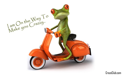 Best discounted coupons online in your town. Deals which make you crazzy. http://t.co/grMO4c5Am7