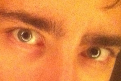 fran_jeb's profile picture. 