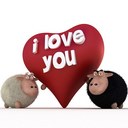 lei shu - @cl0088 - Twitter