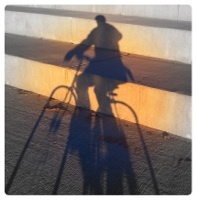 btreetweets's profile picture. 