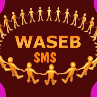 Waseb_SMS's profile image