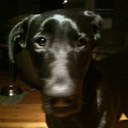 rene collins - @rene_collins - Twitter