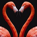 Maria Glen-Barber - @Maria_alice_uk - Twitter