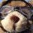 Rafaelm17's profile image