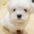 xiaotik's profile image