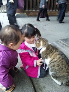 takamatu_mure's profile picture. 姉弟2児母。美味しい物好き、車好き(いつかまたCELICAに…!!)、ミュージカル好き、ゲーム好き…今はこどもの隙をついてモンハンしてます。「渋狩部」所属。舞台活動再開しました！お芝居したいです。声掛けてください