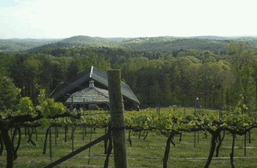 KCSonshine's profile picture. Gave it all to God!