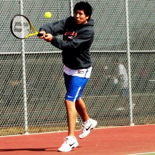 gargarmonter's profile picture. Brown all around.