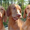 Jane Kenney - @sarjan1 - Twitter