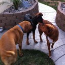 Jodi Holmes - @JodiHolmes - Twitter