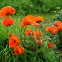 Kay Orton - @Bowery85 - Twitter