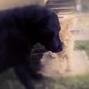 Dot Harvey - @Dotharvey - Twitter