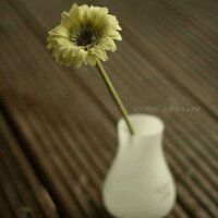 لطيفة (@latoof33) Twitter profile photo