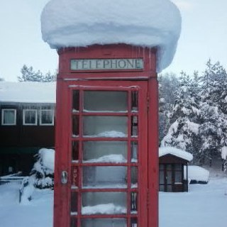 littlemeatballs's profile picture. work in progress