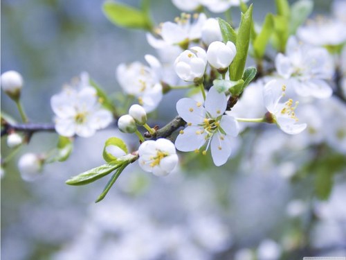 coolzero_'s profile picture. 