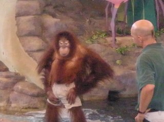 guv008's profile picture. 