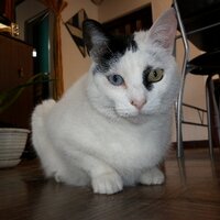 Clandestinxs (@clandestinxs) 's Twitter Profile Photo