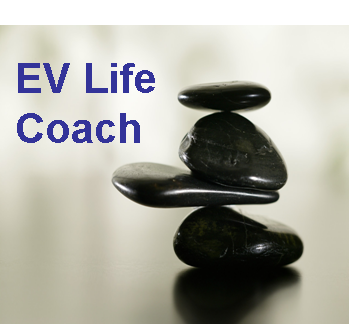 EVlifecoach's profile picture. 