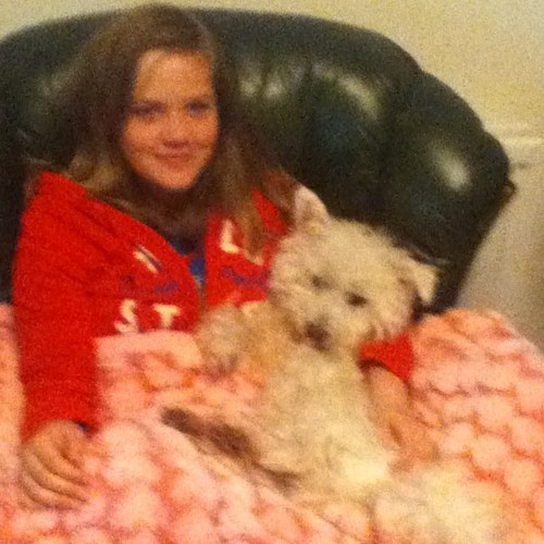 Charliebooluke's profile picture. @Jadelukex 's dog Charlie plz follow i follow back !!! x love my best friend lacey and mith moth :)