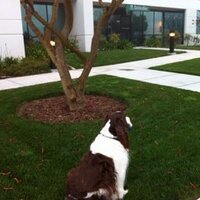 Joseph Clark (@hoodrob) 's Twitter Profile