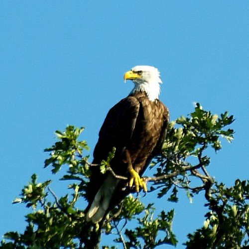 GossenJeremy's profile picture. 