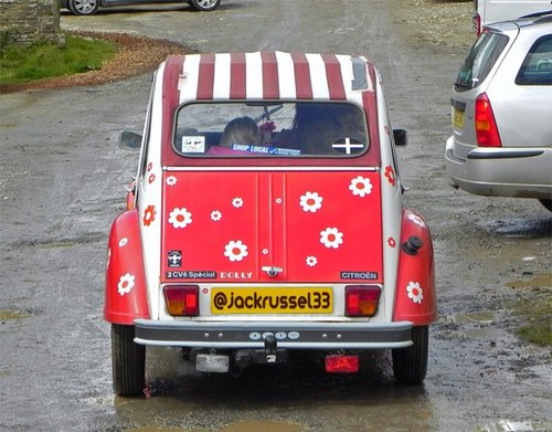 jackrussel33's profile picture. wild swimmer